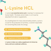 Herstat L-Lysine & Propolis Supplements | High Potency L Lysine Immune Support Formula with 5:1 Propolis Extract, Quercetin, VIT C, VIT E and Zinc
