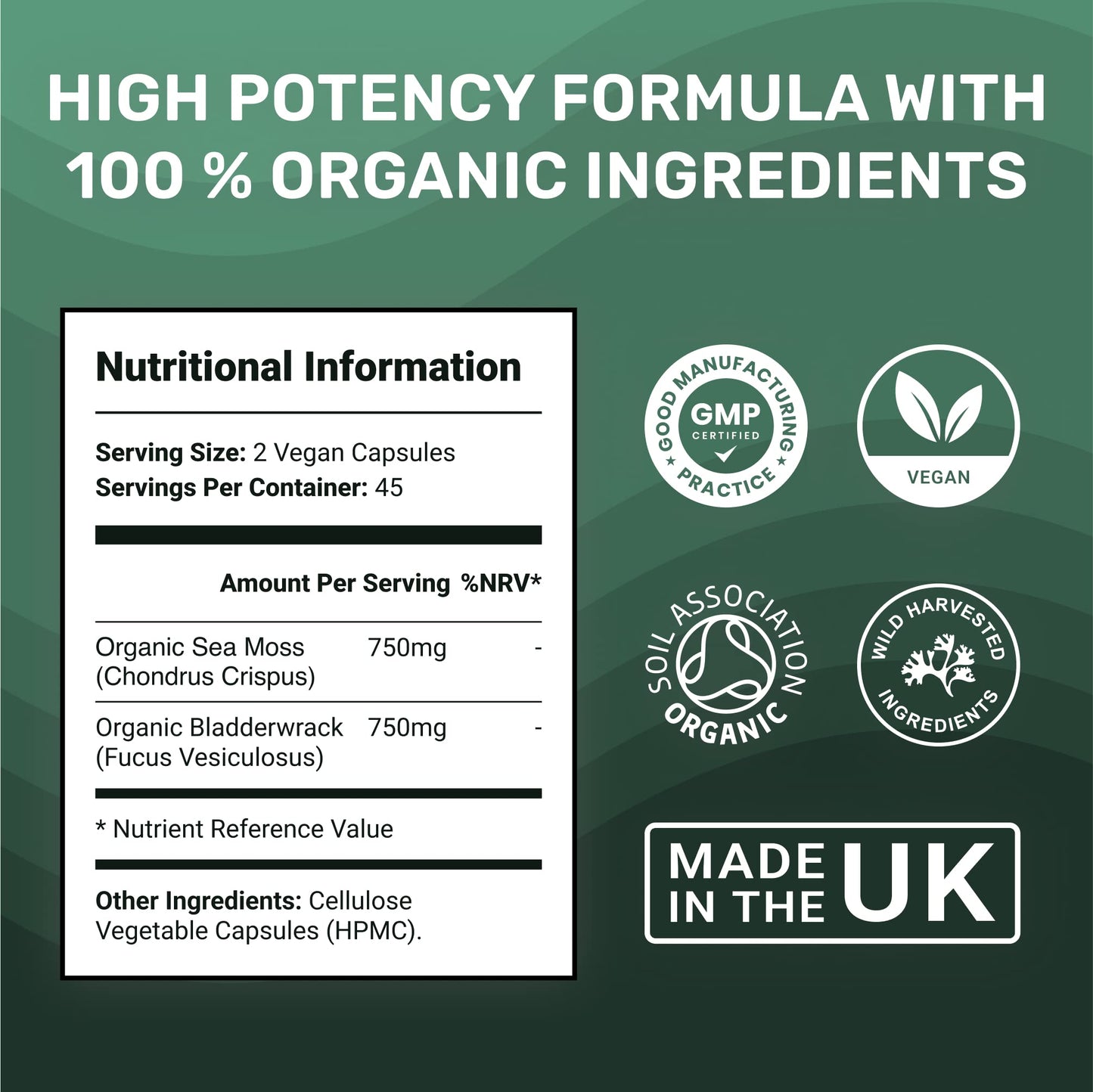 MarineOrganics Organic Sea Moss Capsules - 90 Irish Sea Moss and Bladderwrack Capsules - Iodine Tablets - UK Wild Harvested Seamoss - High Potency