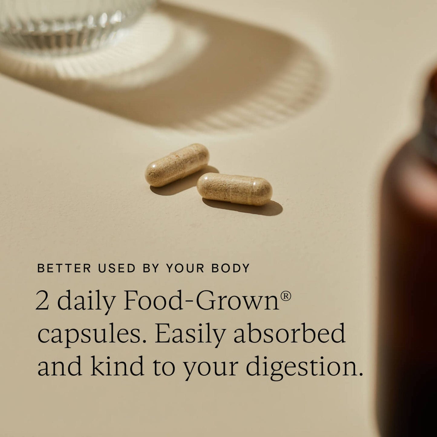 WILD NUTRITION Food-Grown® Energy Support - Natural Energy Support Supplements with Iron, Vitamin C, and Magnesium - Ethically Sourced - Maintain Energy Levels + Immune Support - 60 Capsules