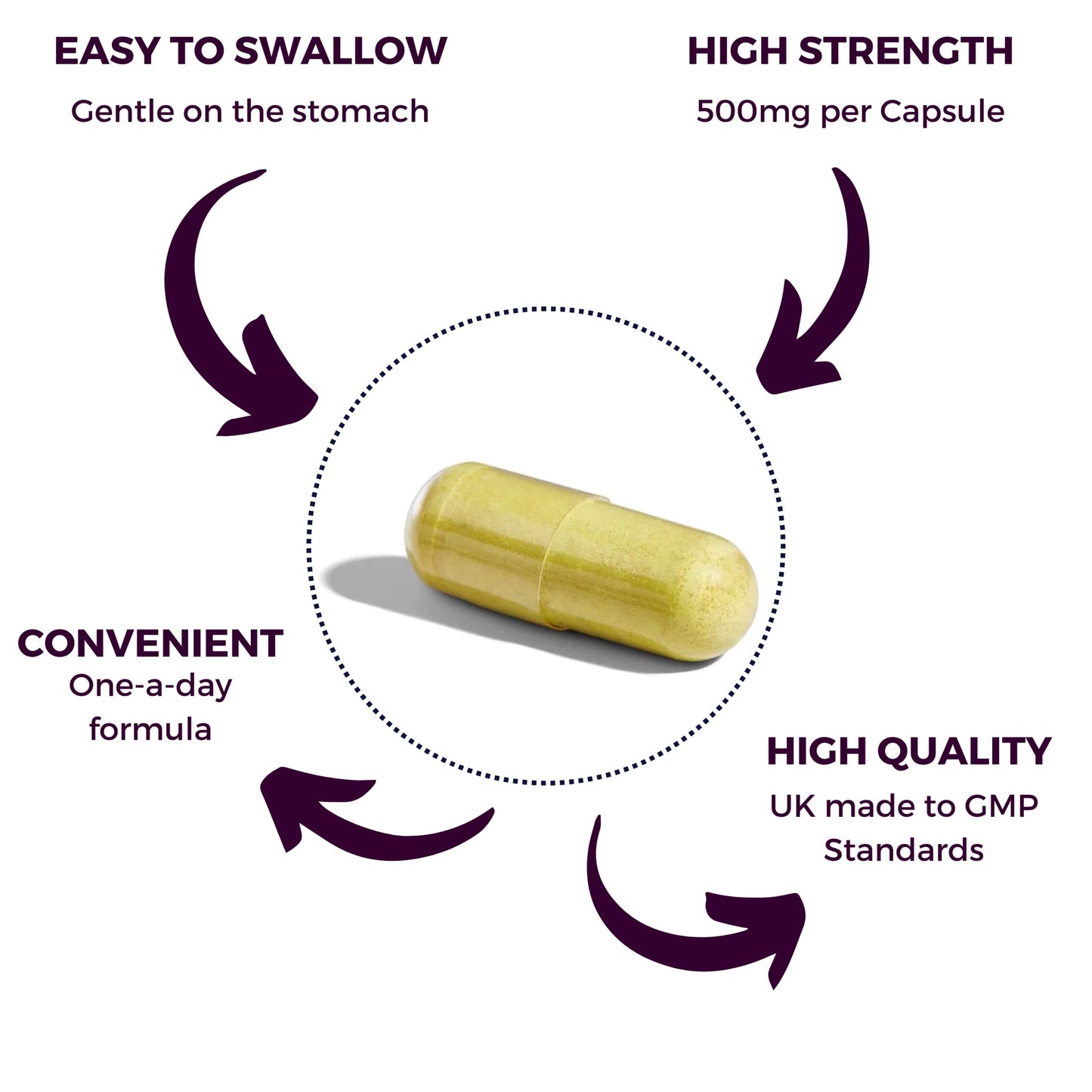 Quercetin 500mg - High Strength Antioxidant Immune Support Pure Quercetin Supplement, One a Day Formula – Easy to Swallow - 60 Vegan Capsules - 2 Month Supply - Made by Nutripact