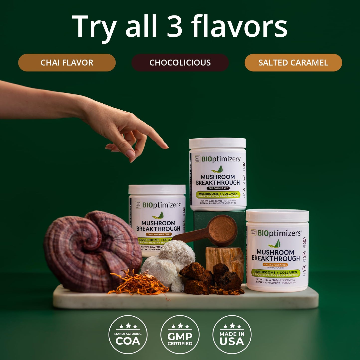 BiOptimizers Chocolicious Mushroom Breakthrough | Nootropic Supplement Blended Powder of Mushroom, Collagen & Superfoods: Lion’s Mane, Chaga, Reishi | 30 Servings