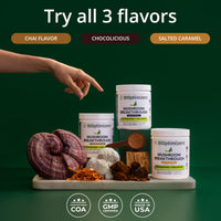 BiOptimizers Chocolicious Mushroom Breakthrough | Nootropic Supplement Blended Powder of Mushroom, Collagen & Superfoods: Lion’s Mane, Chaga, Reishi | 30 Servings