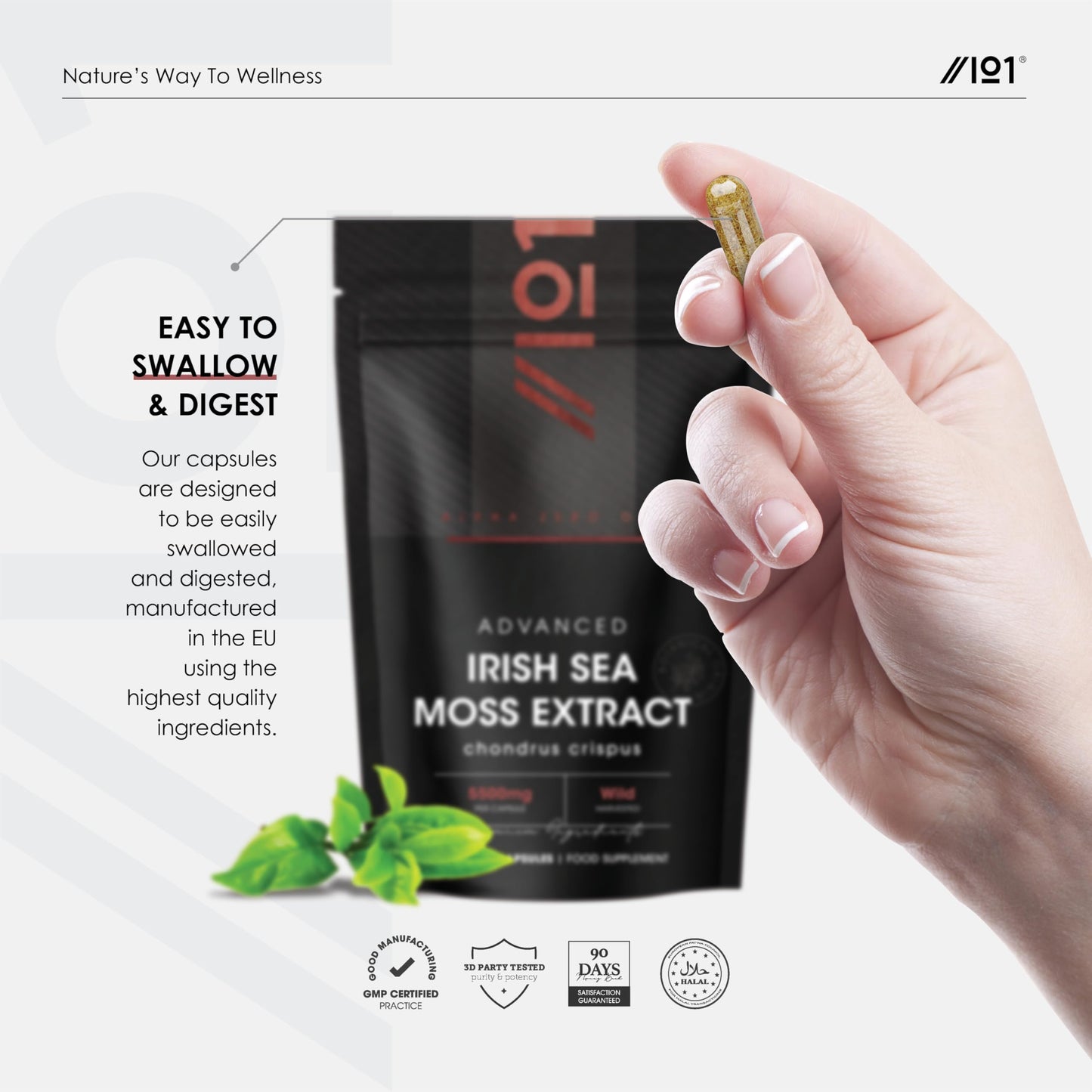 Irish Sea Moss Extract 5500mg - Rich in Trace Minerals High Strength 10:1 Extract - 90 Vegan Capsules (3 Month Supply) – by Alpha01®