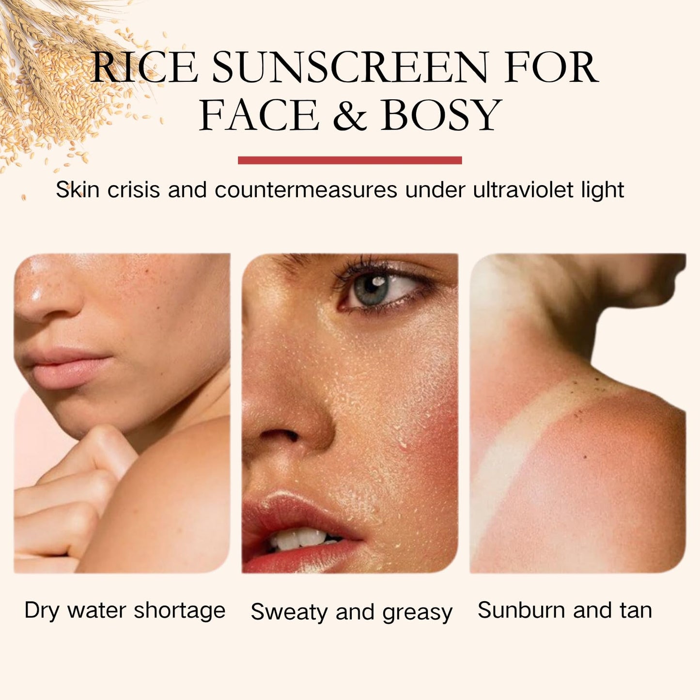 Tongyend Rice Korean Sunscreen for Face SPF 50, Rice Probiotics Daily Relief Sunscreen for face, Relief Facial Sun Cream PA+++ | Lightweight Non-Greasy SPF 50 Face Moisturiser | Korean Skincare – 50ml