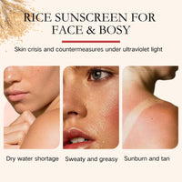 Tongyend Rice Korean Sunscreen for Face SPF 50, Rice Probiotics Daily Relief Sunscreen for face, Relief Facial Sun Cream PA+++ | Lightweight Non-Greasy SPF 50 Face Moisturiser | Korean Skincare – 50ml