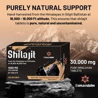 Lumarejebo Shilajit Tablets 30,000mg, 100% Pure Himalayan Shilajit Tablets (1000mg Per Serving), Rich in 85+ Trace Minerals & 60% Fulvic Acid, for Energy and Immune Support (120 Tablets)