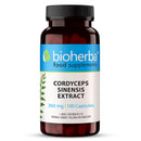 Cordyceps Mushroom Extract 360 mg 300 Capsules for Energy and Immune Support by BIOHERBA