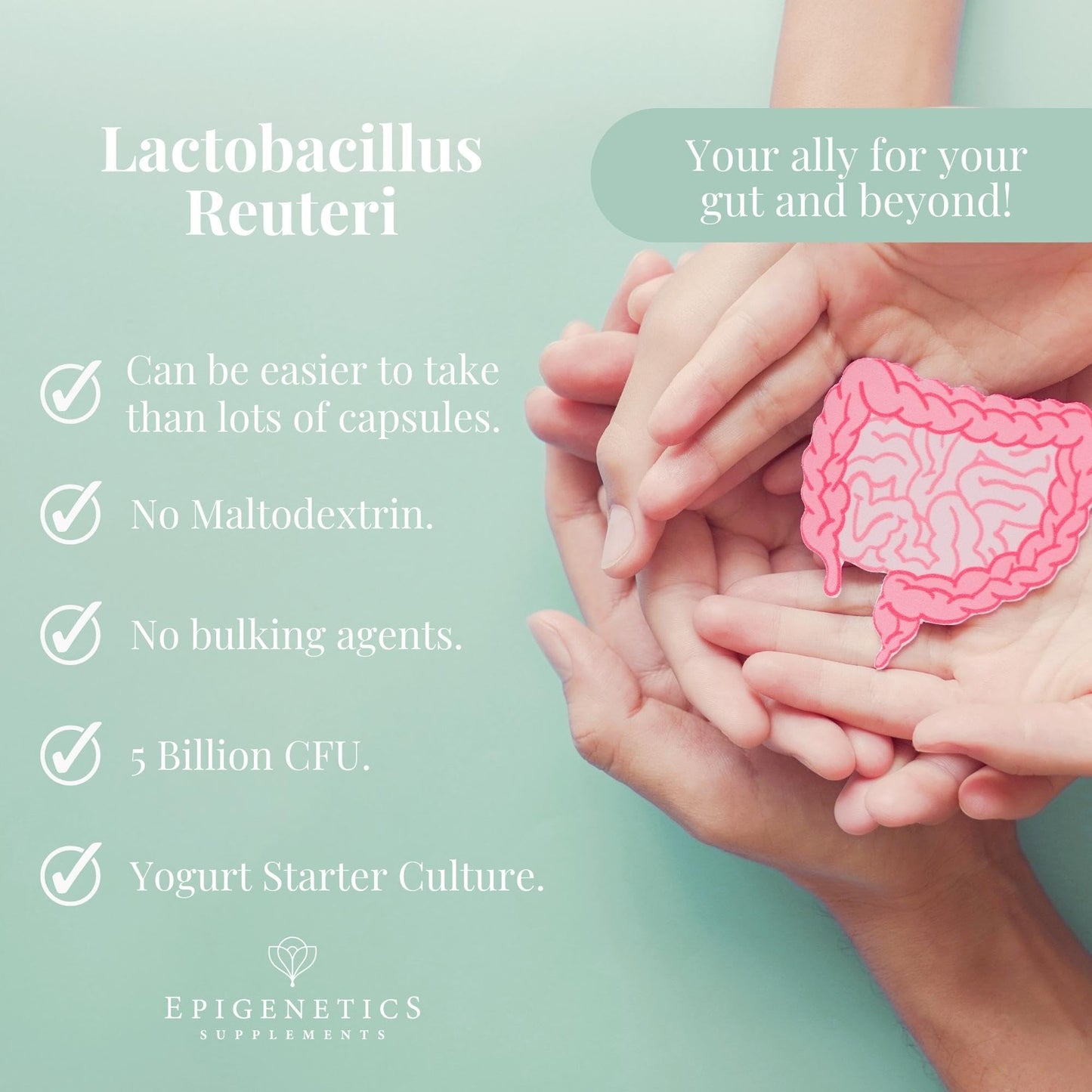 Lactobacillus Reuteri 50g | Yoghurt Starter Culture Kit | 5 Billion CFU Probiotic + Chicory Root Prebiotic (Inulin) | Vegan Friendly Powder UK Made | 1g Daily (50 Servings)