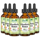 Cheroline Liposomal Rhodiola Rosea 950 mg, 9-in-1 Rhodiola Rosea Drops 360 ml, Rhodiola Root Liquid Tincture, Vegan Adaptogenic Herb Supplement for Energy, Stress & Mood (Pack of 6)