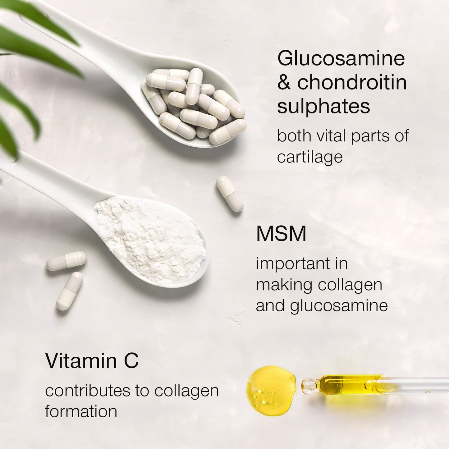 Glucosamine and Chondroitin High Strength - Glucosamine Sulphate with Chondroitin, MSM & Vitamin C - 120 Capsules - 1720mg Glucosamine Complex for Men & Women - Combination Supplements for Joints