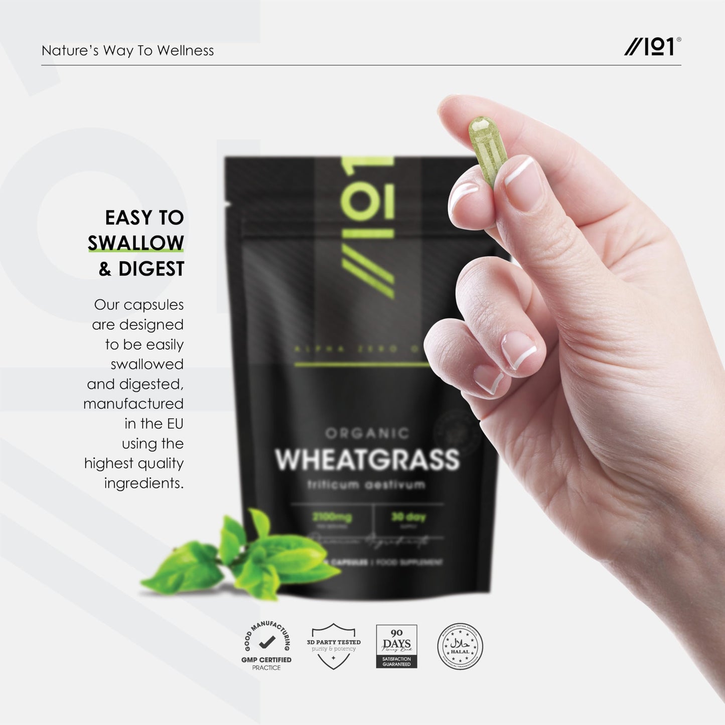 ALPHA01 Organic Wheatgrass 2100mg - High Strength Triticum Aestivum Supplement - 90 Vegan Capsules - Resealable and Recyclable Pouch - by Alpha01
