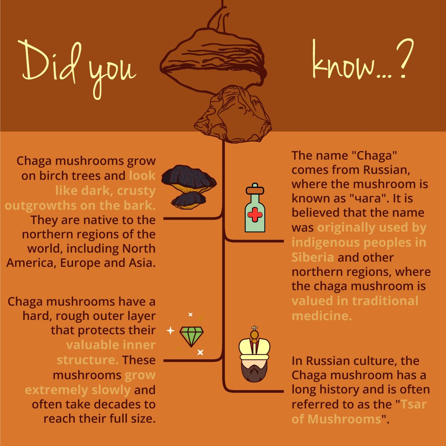 Organic Chaga Mushroom Extract Vegavero® | NO Additives | 600mg (10:1) with 40% Polysaccharides and 30% Betaglucans | 90 Capsules | Vegan