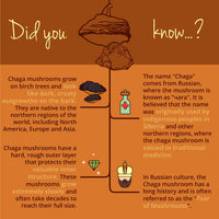 Organic Chaga Mushroom Extract Vegavero® | NO Additives | 600mg (10:1) with 40% Polysaccharides and 30% Betaglucans | 90 Capsules | Vegan