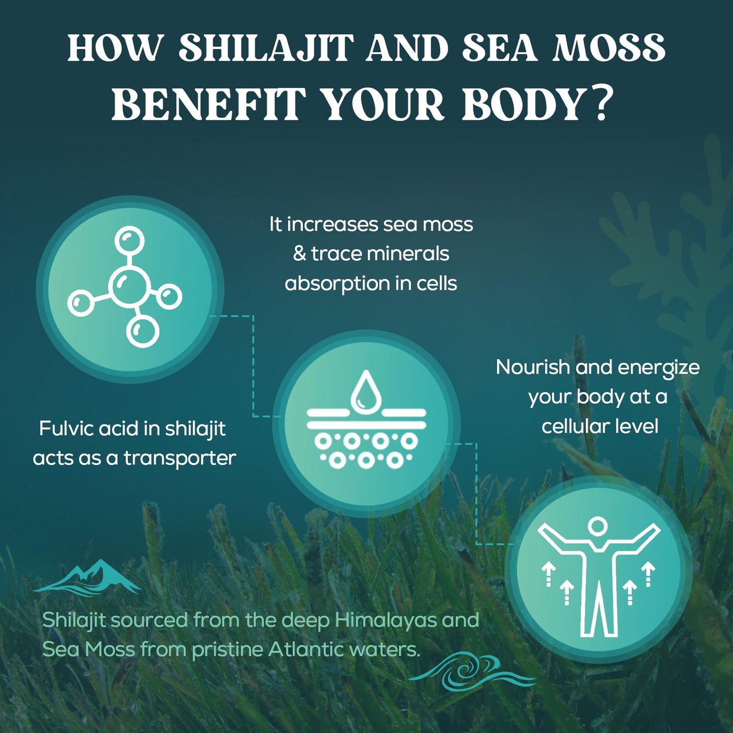 Shilajit Sea Moss and Ashwagandha Gummies 1500mg Per Serving, Enriched with 60% Fulvic Acid & 85+ Trace Minerals, High Strength Complex for Energy, More Convenient Than Resin (60 Count (Pack of 1))