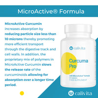 CurcumaPro - Turmeric and Black Pepper Tablets - 4900mg - Advanced Absorption - Turmeric Supplement - with BioPerine & MicroActive Curcumin - Vegan, Gluten-Free, US Made - 60 Day Supply