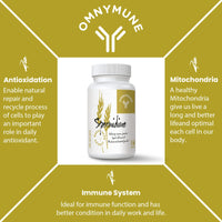 Spermidine Wheat Germ Extract Capsules - Spermidine Supplement 1300 mg Advanced Formula with Zinc for Mitochondrial Rescue, Immune System and Cell Renewal (60 Count (Pack of 1))
