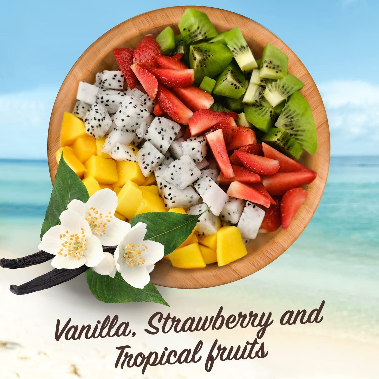 Malibu Sun SPF 30 Lip Balm Sunscreen, Vanilla, Tropical, Strawberry 3 x 5g