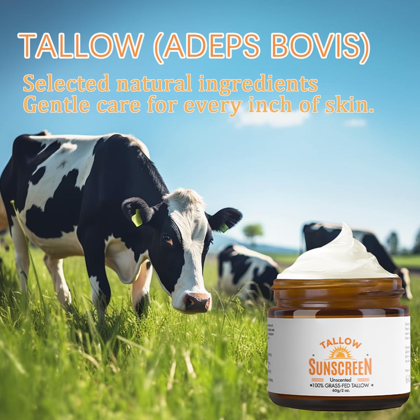 OKAQEE Beef Tallow Sunscreen Spf 50+, Face Sun Cream 100% Grass Fed Tallow, Tallow Balm Instant Sun Protection, Spf 50 Face Moisturiser, Sweat & Water Resistant - Unscented & Invisible
