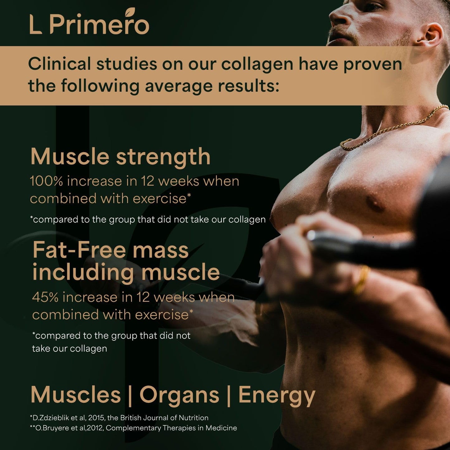 L Primero Collagen Peptides Powder 400g, Hydrolysed Unflavoured, Grass-Fed Bovine Bioactive Protein, Highly absorbable 18 Amino Acids, Keto