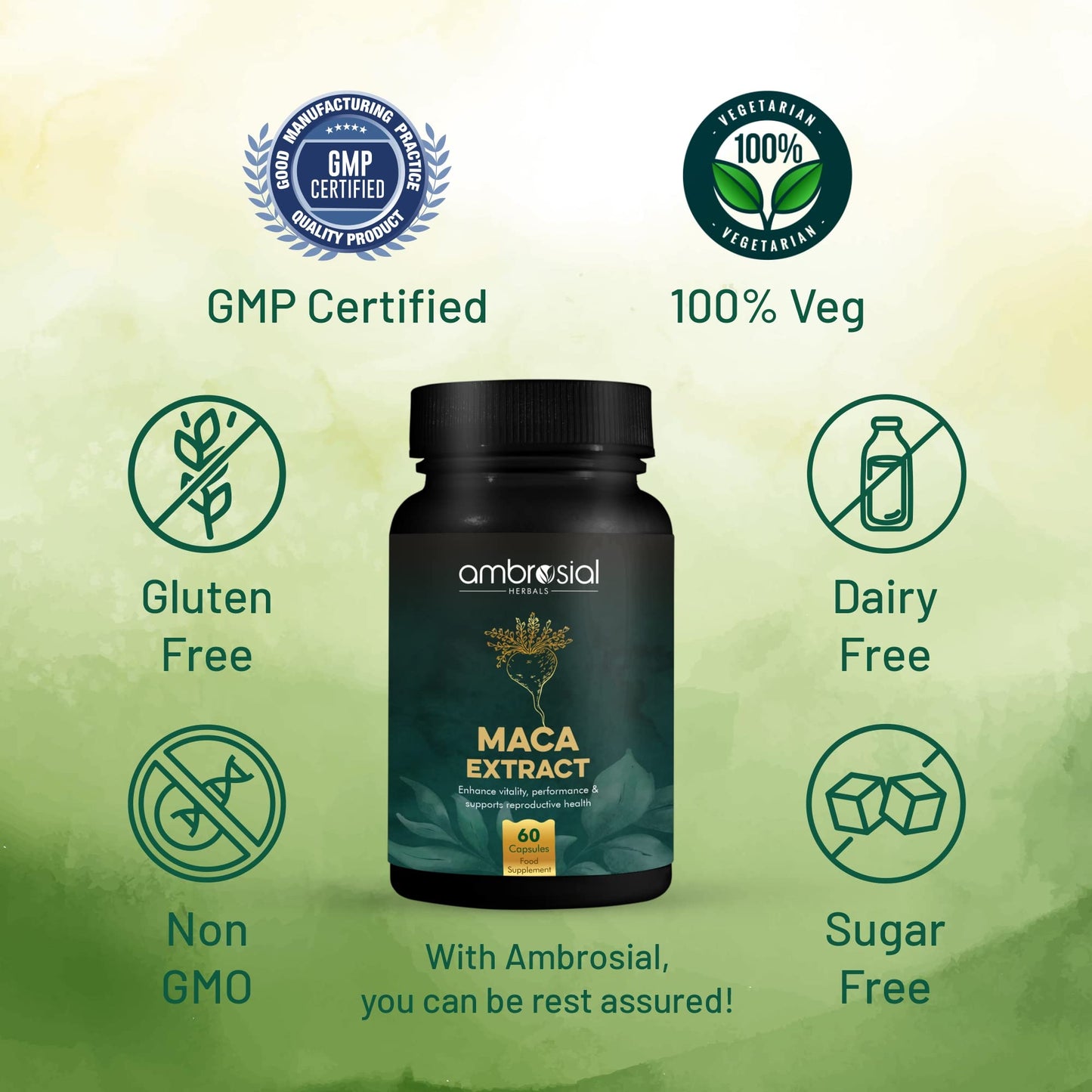 AMBROSIAL Ambrosial Maca Root Capsules for Women & Men | High Strength 500 mg Maca Powder per Capsule | Supports Building Stamina & Energy (Pack of 1-60 Capsules)