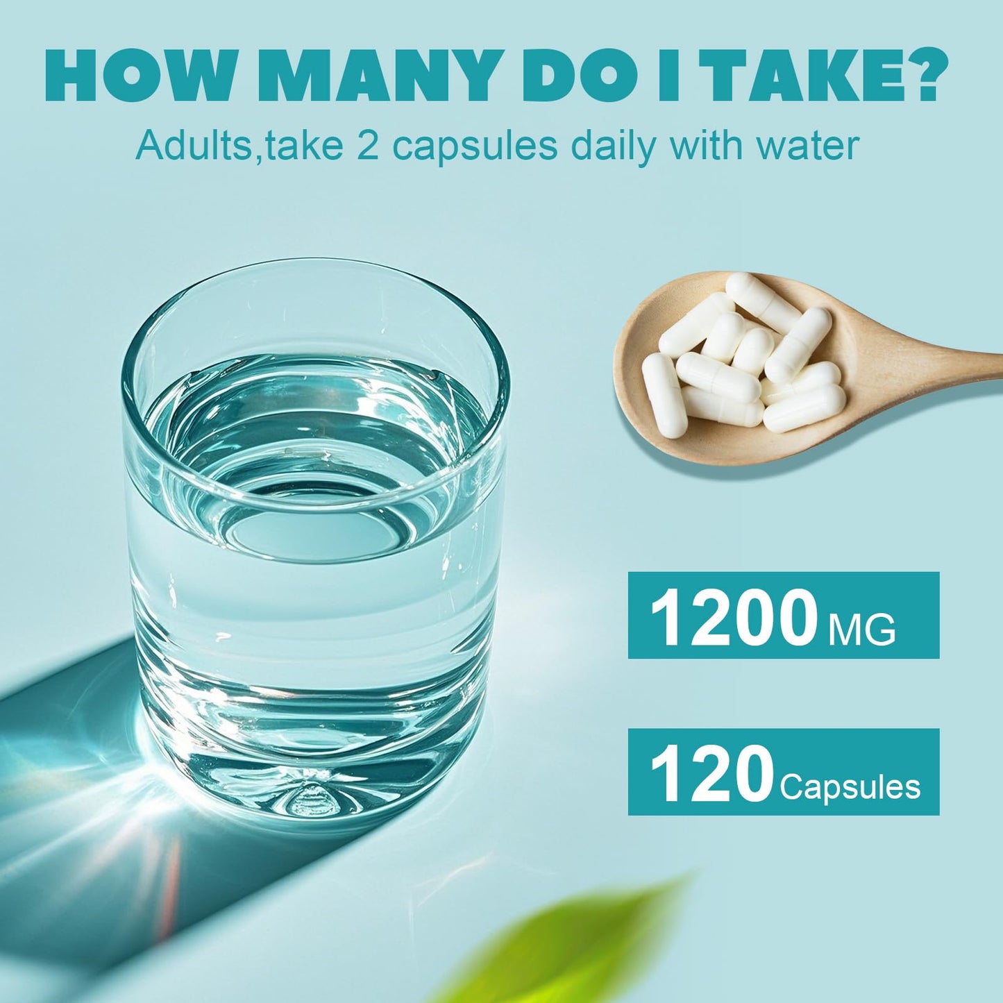 Aoruilia TUDCA Supplement, Tauroursodeoxycholic Acid Complex 1200mg Per Servings, Bile Salts for Liver & Gut Health Support, 120 Capsules (120 Count (Pack of 1))