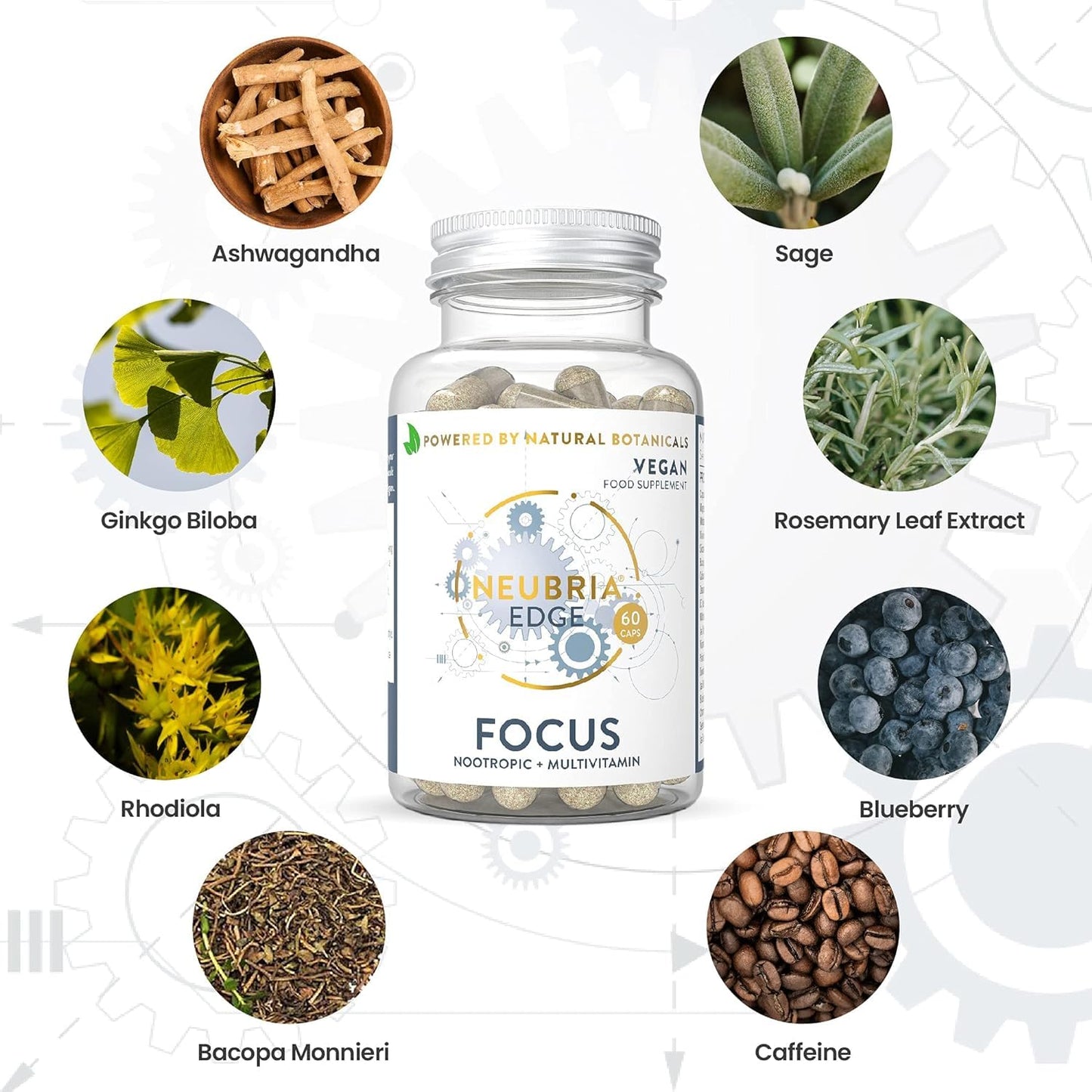 NEUBRIA Edge Focus Formula Nootropic supplements and Multivitamin, Memory Booster helps to Improve Concentration and Focus with 22 Essential Vitamins and Minerals - 60 Capsules - by Neubria