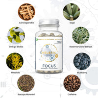 NEUBRIA Edge Focus Formula Nootropic supplements and Multivitamin, Memory Booster helps to Improve Concentration and Focus with 22 Essential Vitamins and Minerals - 60 Capsules - by Neubria