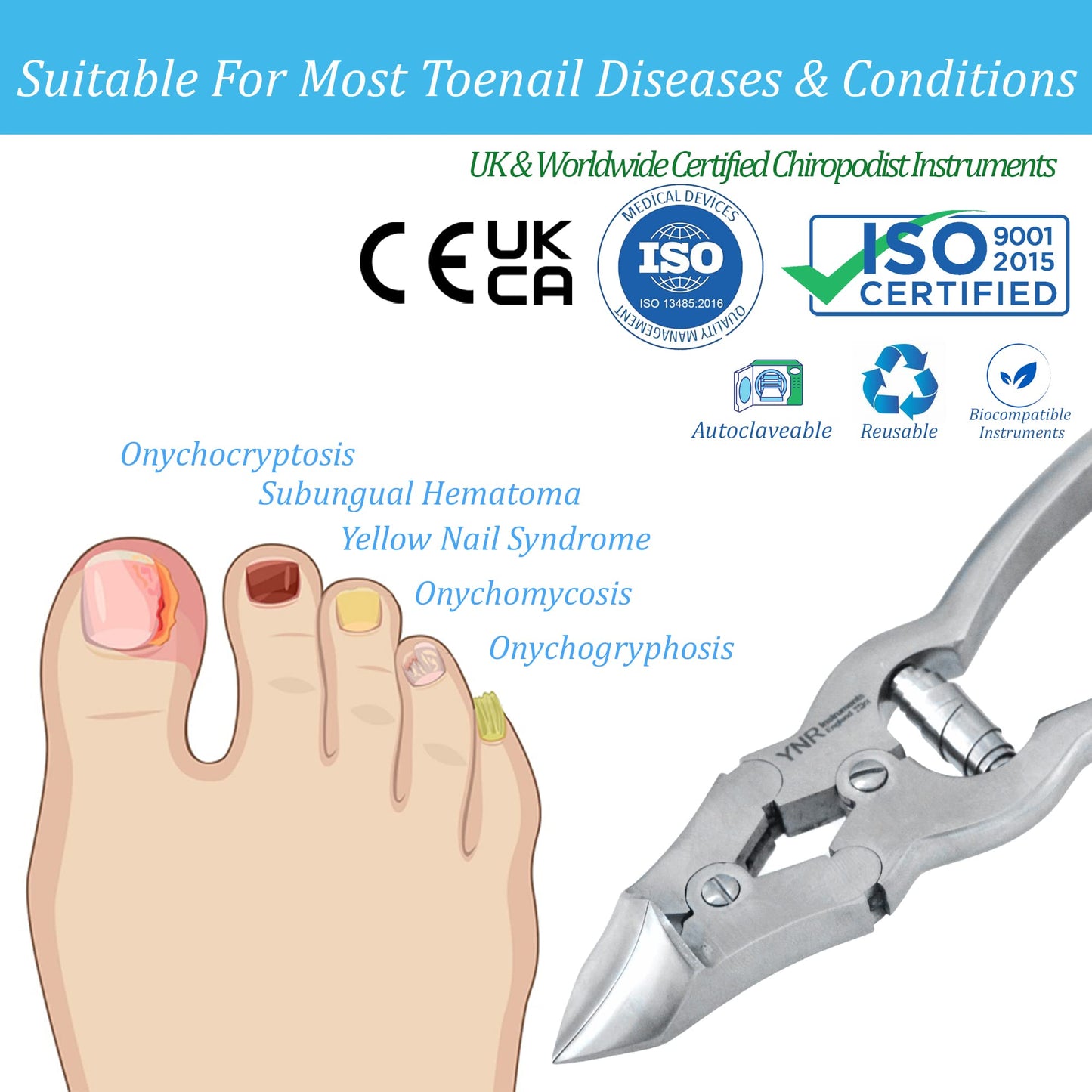 YNR Toenail Clippers by YNR Instruments England Podiatry Tool German Forged 6 inch Cantilever Nail Nippers to Cut Thick Toe Nails - Hospital Grade - 15cm - Barrel Spring