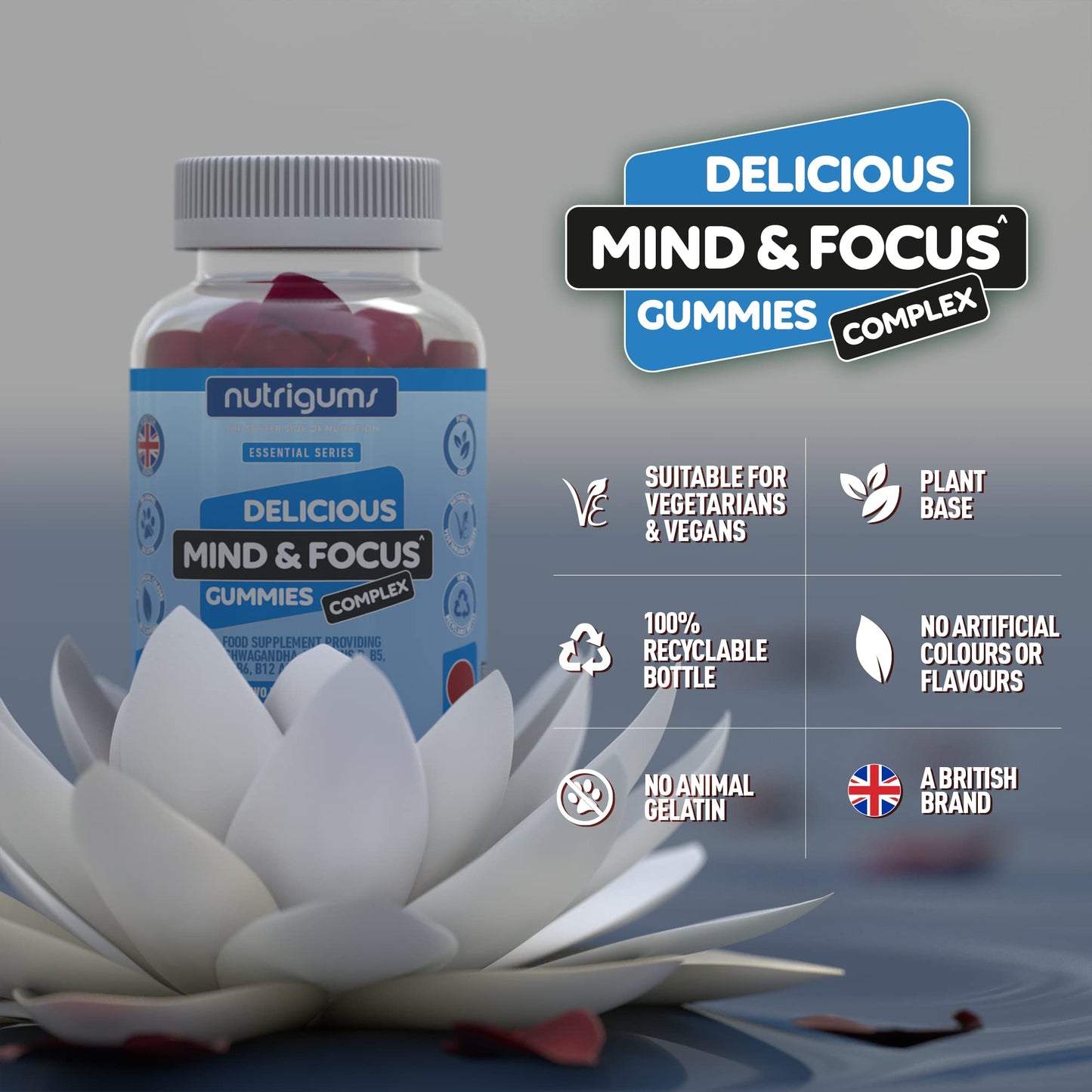 Mind & Focus Raspberry Flavour 60 Vegan Gummies | Ashwagandha, L-Theanine, D3, B5, B6 & B12 | Cognitive Health, Nervous System and Mental Performance | Suitable for Adults & Kids 12+ by NUTRIGUMS®