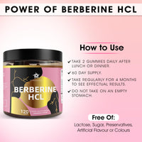 TERRAMOON Berberine HCL 98% 2000mg, 120 Gummies, 60 Day Supply, Sour Berry Flavour, with Ceylon Cinnamon 300mg, Turmeric Extract 200mg