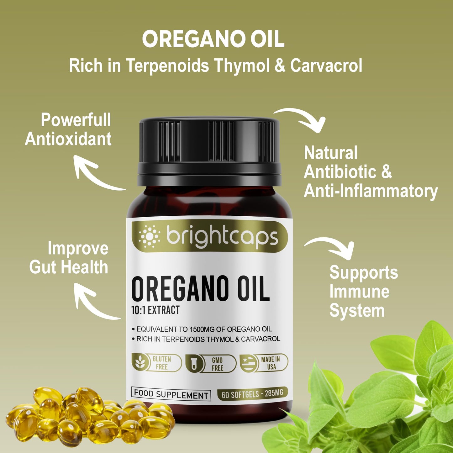 Wild Oregano Oil - Extract 10:1 Equivalent to 1500mg - High in Carvacrol & Thymol - 60 Softgels