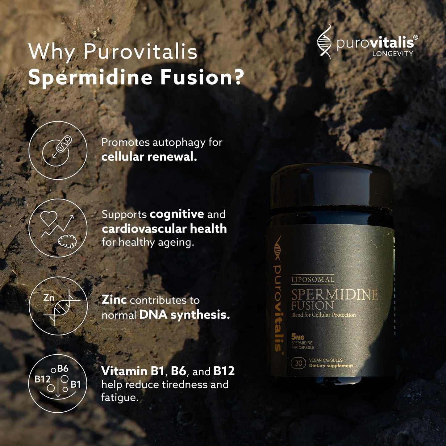 PUROVITALIS Spermidine Fusion 5mg, 30 Servings (30 Vegan Capsules), with Zinc, Vitamin D3 & B12, Anti-ageing Supplement
