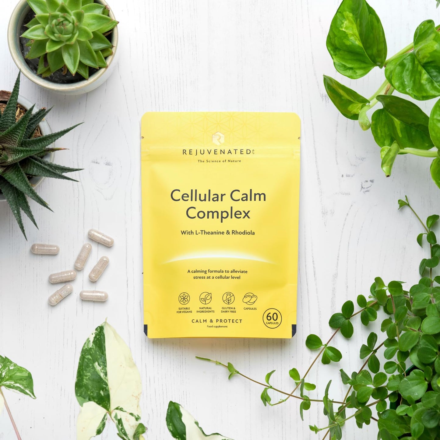 Rejuvenated Limited Rejuvenated Cellular Calm Complex - Nootropic & Adaptogen Blend for Stress & Anxiety Relief for Adults - Calming Formula and Stress Relief Supplement with L-Theanine & Rhodiola (60 Capsules)