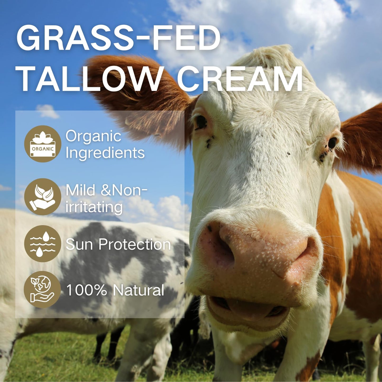 Trendyfave Grass-Fed Tallow Sunscreen Spf 30, Organic Face Sun Cream, Suncream Instant Sun Protection, Spf 30 Tallow Face Moisturiser, Non-Greasy, Reef-Safe Formula For FacE & Body | 57g Travel-Friendly