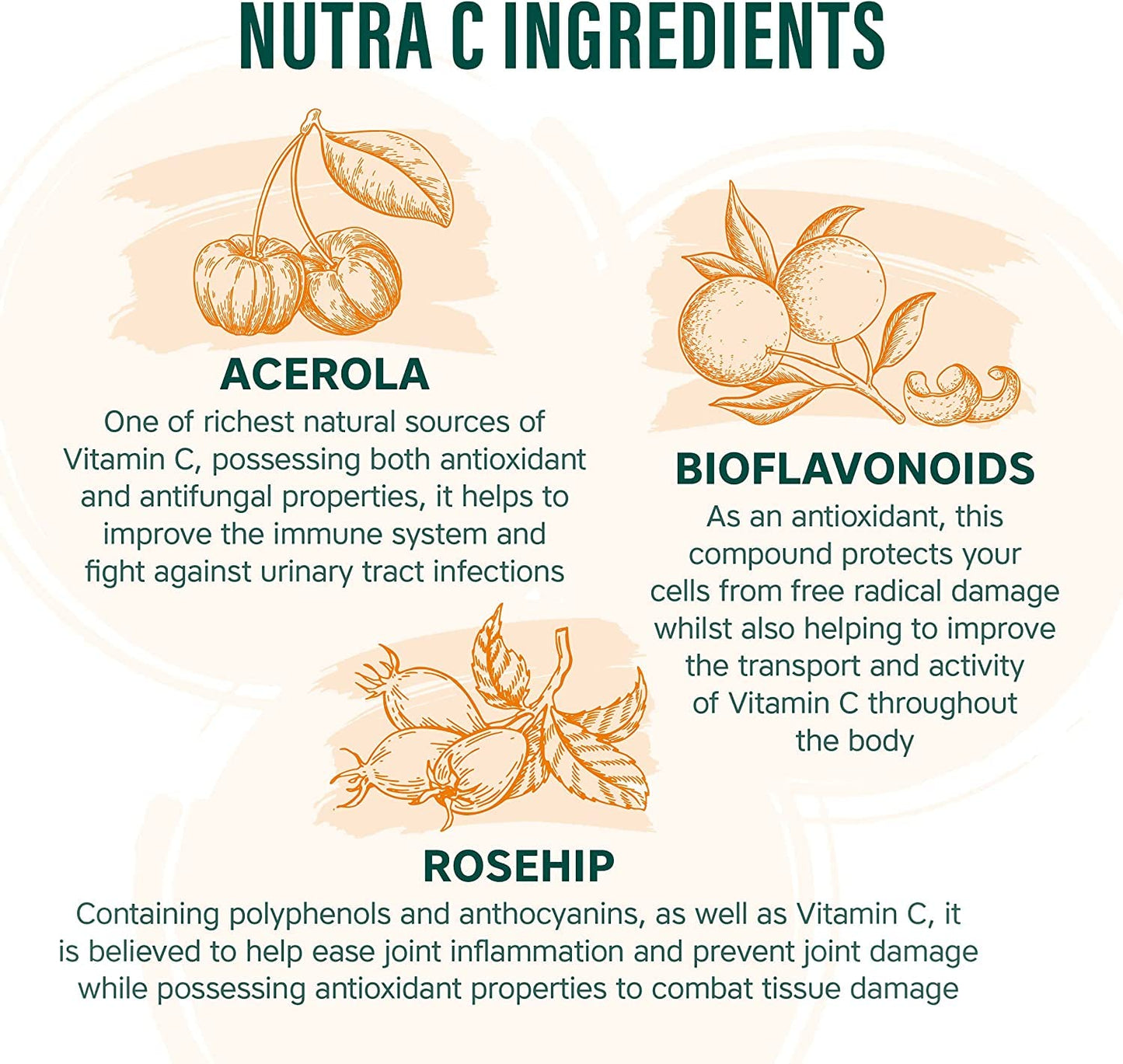NUTRA C - Vitamin C 1000mg - 30 Chewable Tablets - High Strength Vegan Tablets - Gluten Free | Orange Flavoured - with Rosehip, Hesperidin & Acerola - Manufactured in a UK MHRA GMP Facility - NUTRAVIT