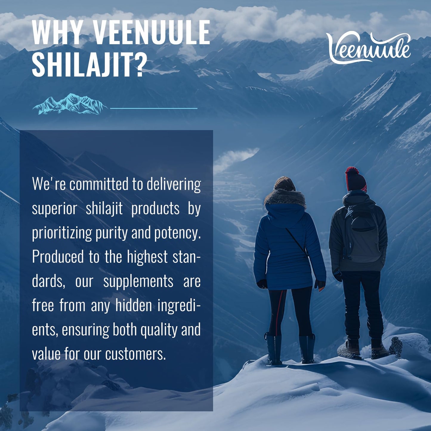Veenuule 30,000mg Shilajit Tablets, Gold Grade Shilajit Supplement, Rich in Fulvic Acid & 85+ Trace Minerals (60 Count (Pack of 2))