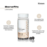 Lion’s Mane 1,000mg Mushroom Gummies by Known | Nootropic Support for Cognition, Mood, Immunity & Inflammation | Delicious Blueberry Flavour | 60 Two-a-Day Vegan Gummies (One Month’s Supply)