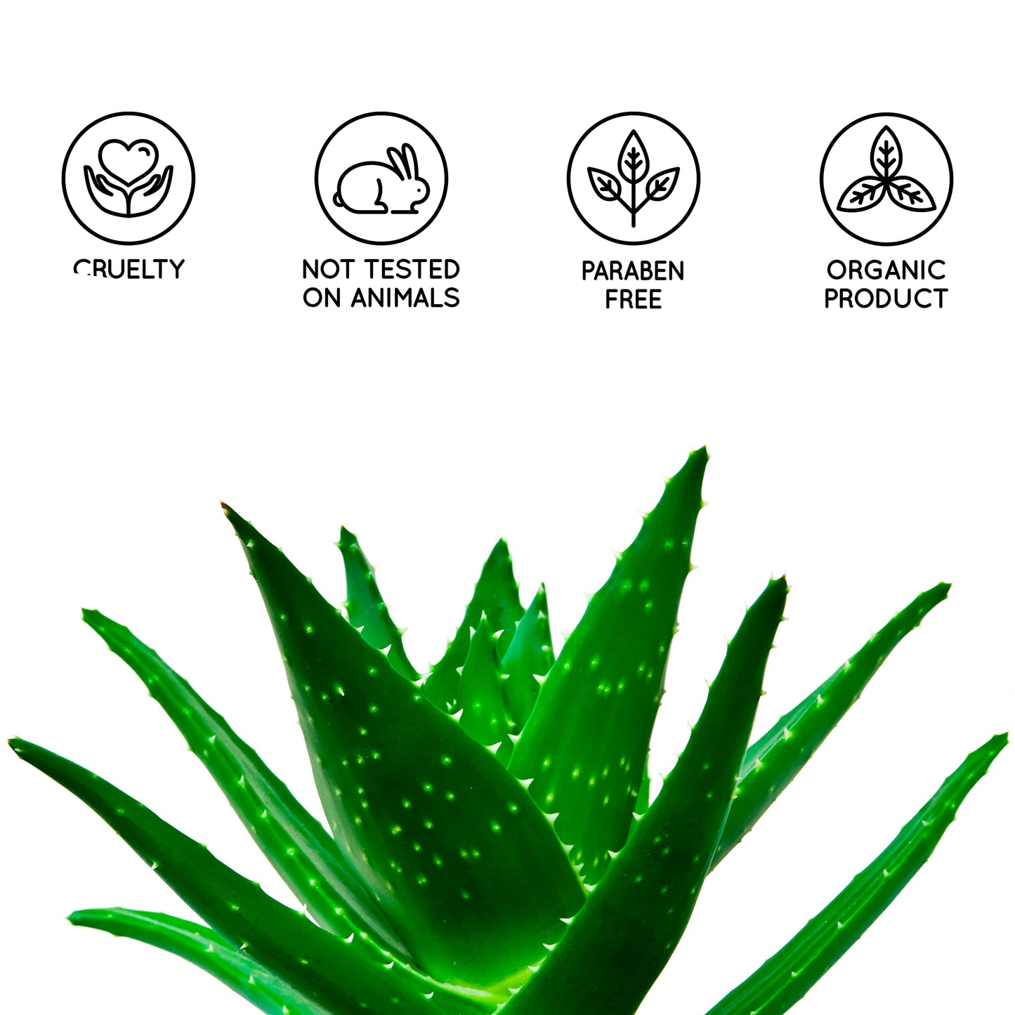 bleu & marine Bretania Pure Aloe Vera Gel 100% Natural 200 ml 7.03 fl oz DIY Cosmetics Face & Body care Moisturiser Hair repair After sun Soothing gel Wax Aftercare Canary Islands