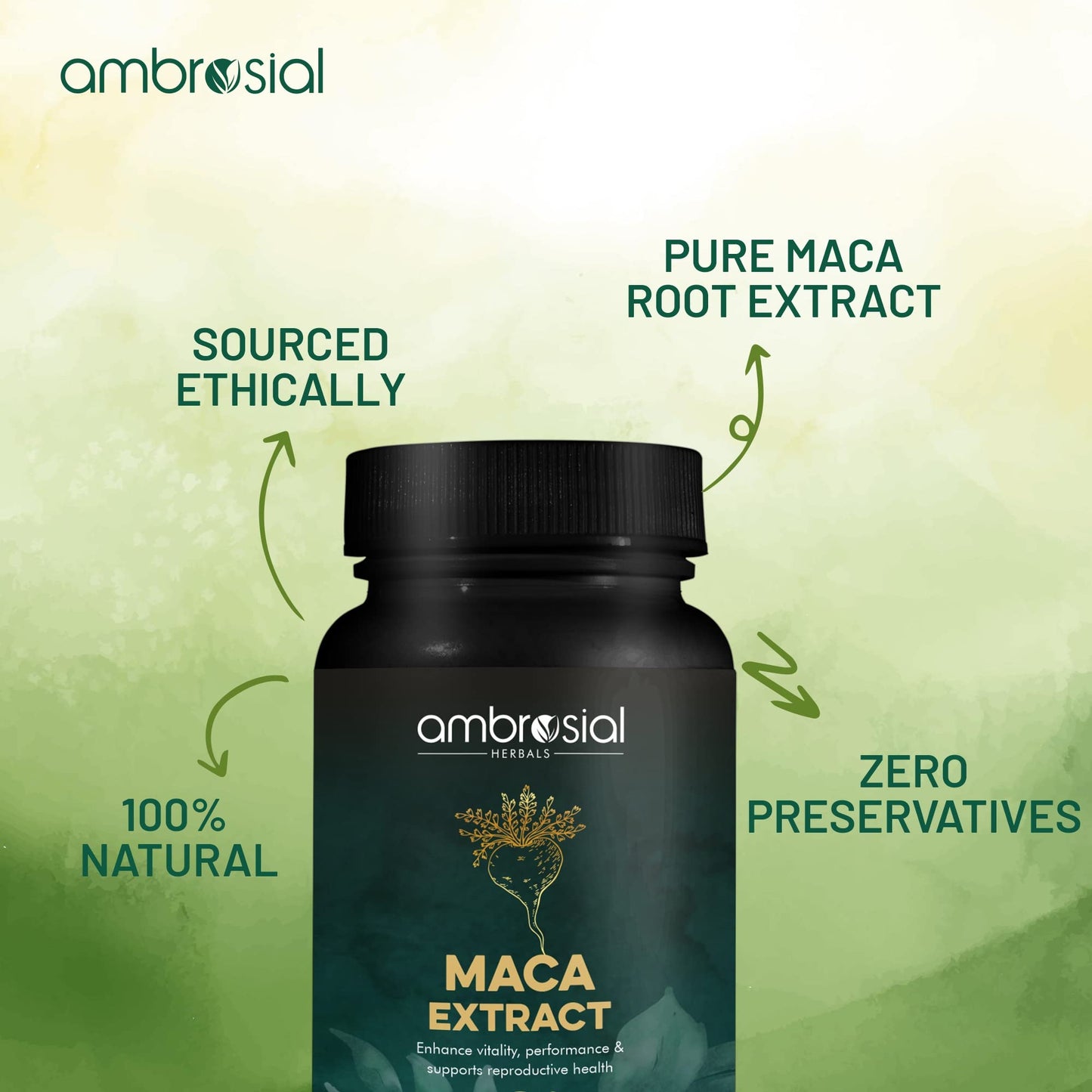 AMBROSIAL Ambrosial Maca Root Capsules for Women & Men | High Strength 500 mg Maca Powder per Capsule | Supports Building Stamina & Energy (Pack of 1-60 Capsules)