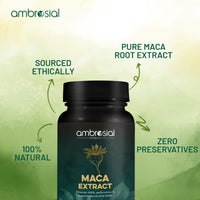 AMBROSIAL Ambrosial Maca Root Capsules for Women & Men | High Strength 500 mg Maca Powder per Capsule | Supports Building Stamina & Energy (Pack of 1-60 Capsules)