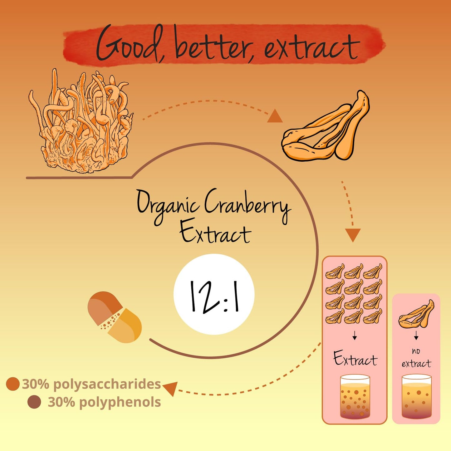 Vegavero Cordyceps Sinensis Organic 7800mg | Organic Mushroom Extract (12:1) | 30% Polysaccharides & Polyphenols | NO Additives | Lab-Tested | Vegan