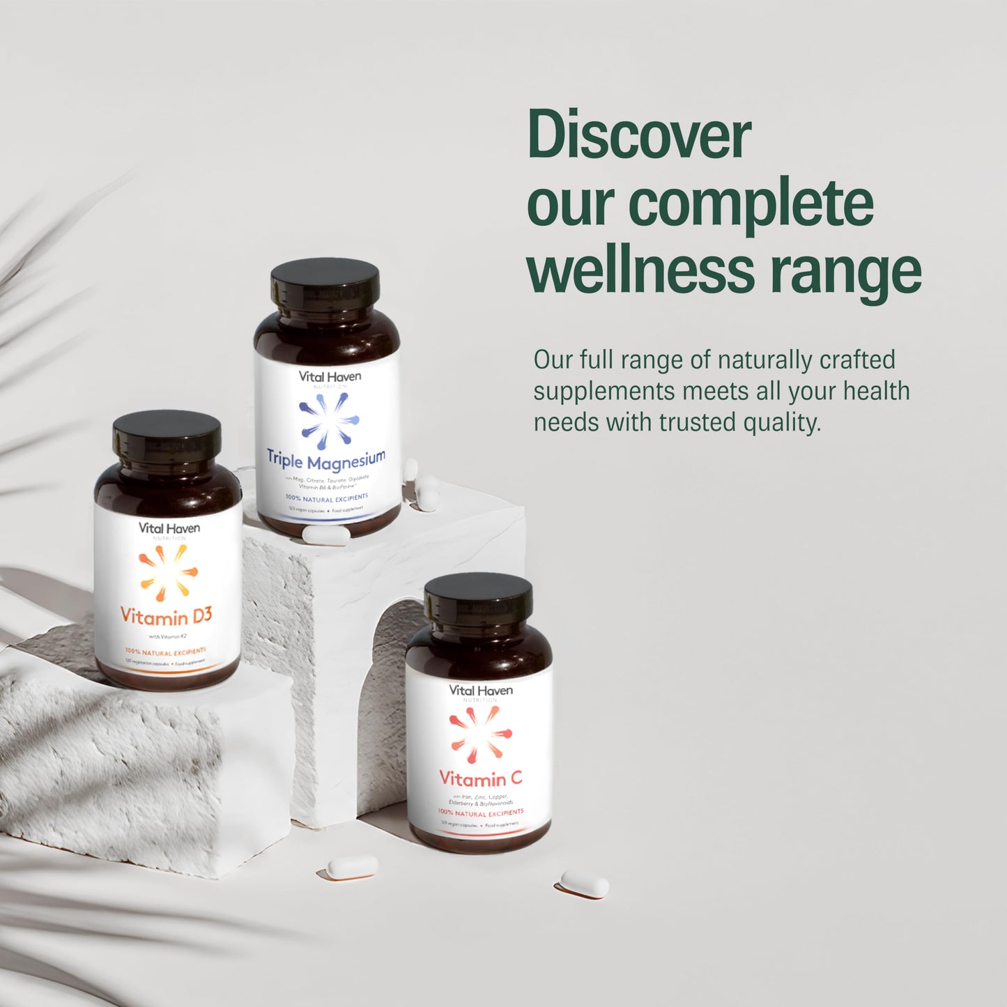 Vital Haven - Mushroom Supplement - Lions Mane, Reishi, Cordyceps, Shiitake, Maitake, Chaga, Agaricus Blazei, Tremella with VIT C - UK Made