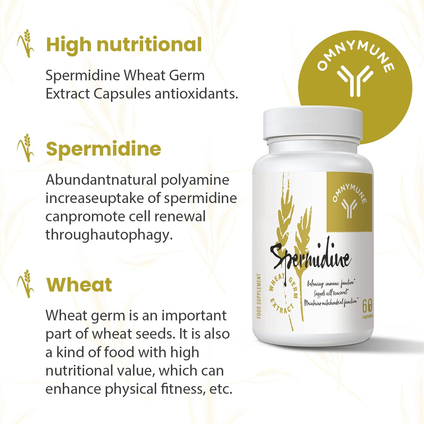 Spermidine Wheat Germ Extract Capsules - Spermidine Supplement 1300 mg Advanced Formula with Zinc for Mitochondrial Rescue, Immune System and Cell Renewal (60 Count (Pack of 1))