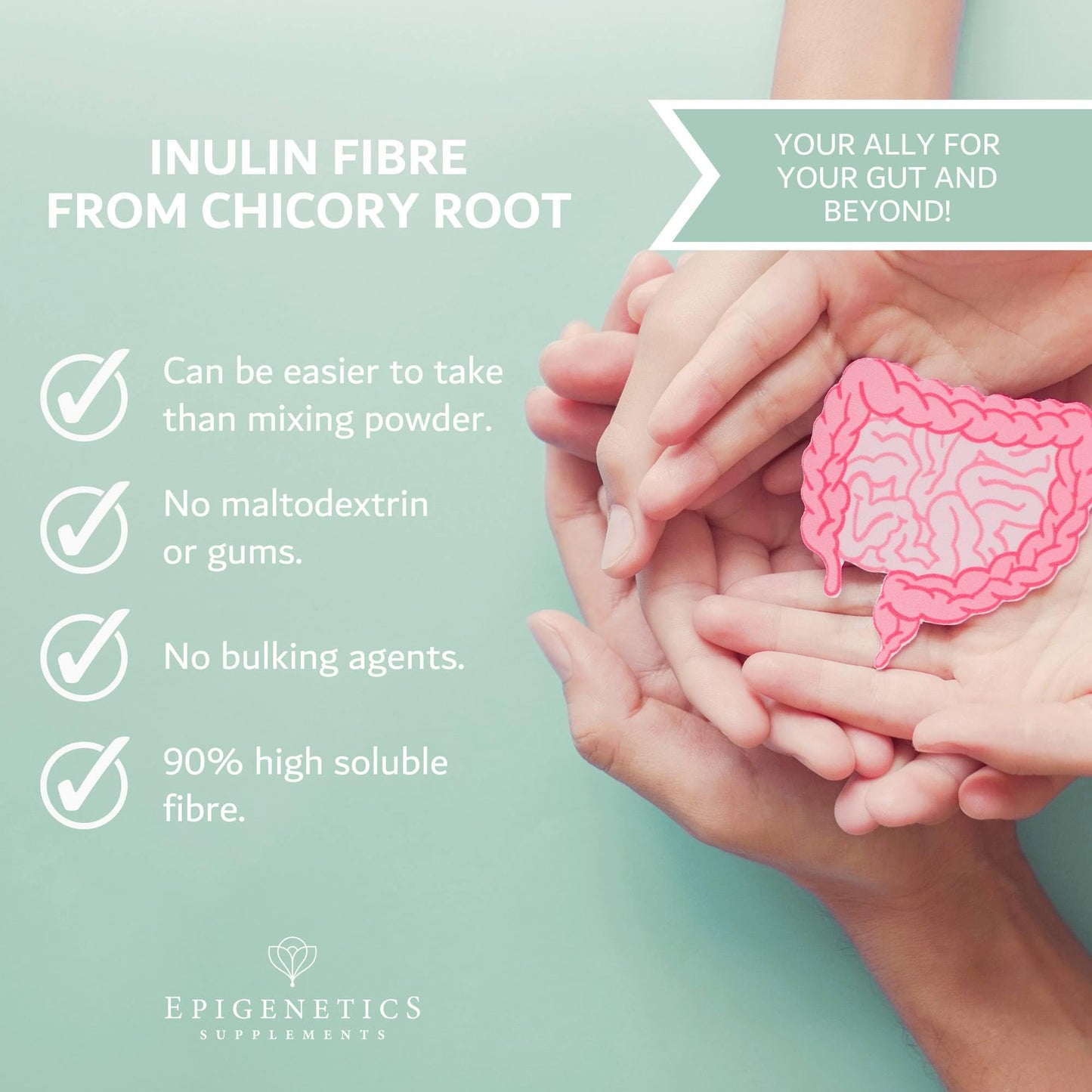 Epigenetics Inulin Fibre Supplement from Chicory Root | 120 Capsules | Prebiotic Gut Health Supplements | Increase Fibre Intake & Support Digestion | Vegan Friendly UK Made | 1 Capsule Daily 4 Months Supply
