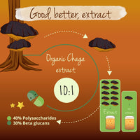 Organic Chaga Mushroom Extract Vegavero® | NO Additives | 600mg (10:1) with 40% Polysaccharides and 30% Betaglucans | 90 Capsules | Vegan