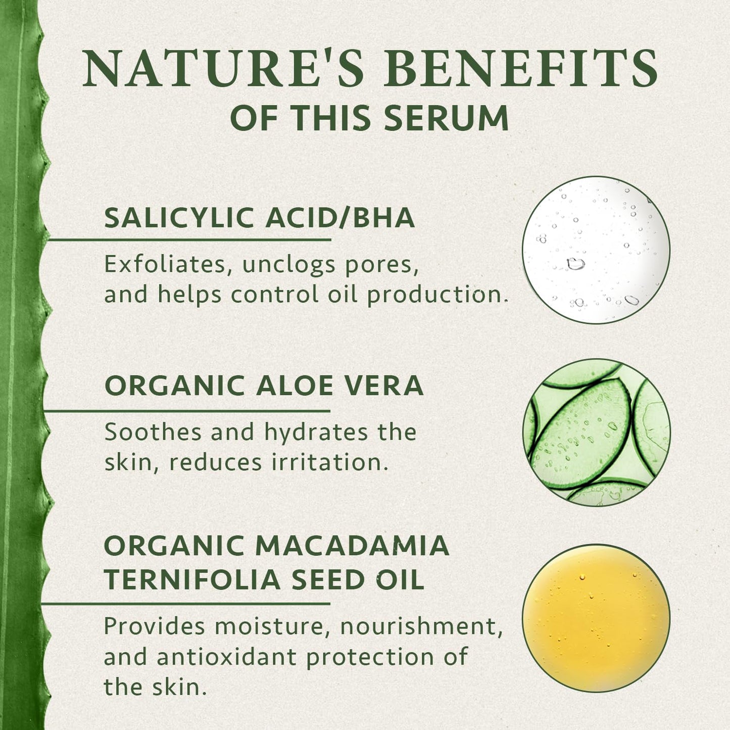 SatinNaturel Salicylic Acid BHA Exfoliant for Sensitive Skin 100ml, Anti Blemishes - Pore Minimizer Face Exfoliator - Hyperpigmentation Treatment - Organic Vegan Skin Care by Satin Naturel