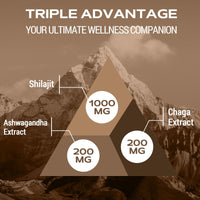 Shilajit Gummies 1400mg, Shilajit Supplement with Chaga and Ashwagandha, Original from Himalayan with Fulvic & Humic Acid and 85+ Minerals, for Energy, Immunity & Focus, Sugar-Free, 120 Gummies