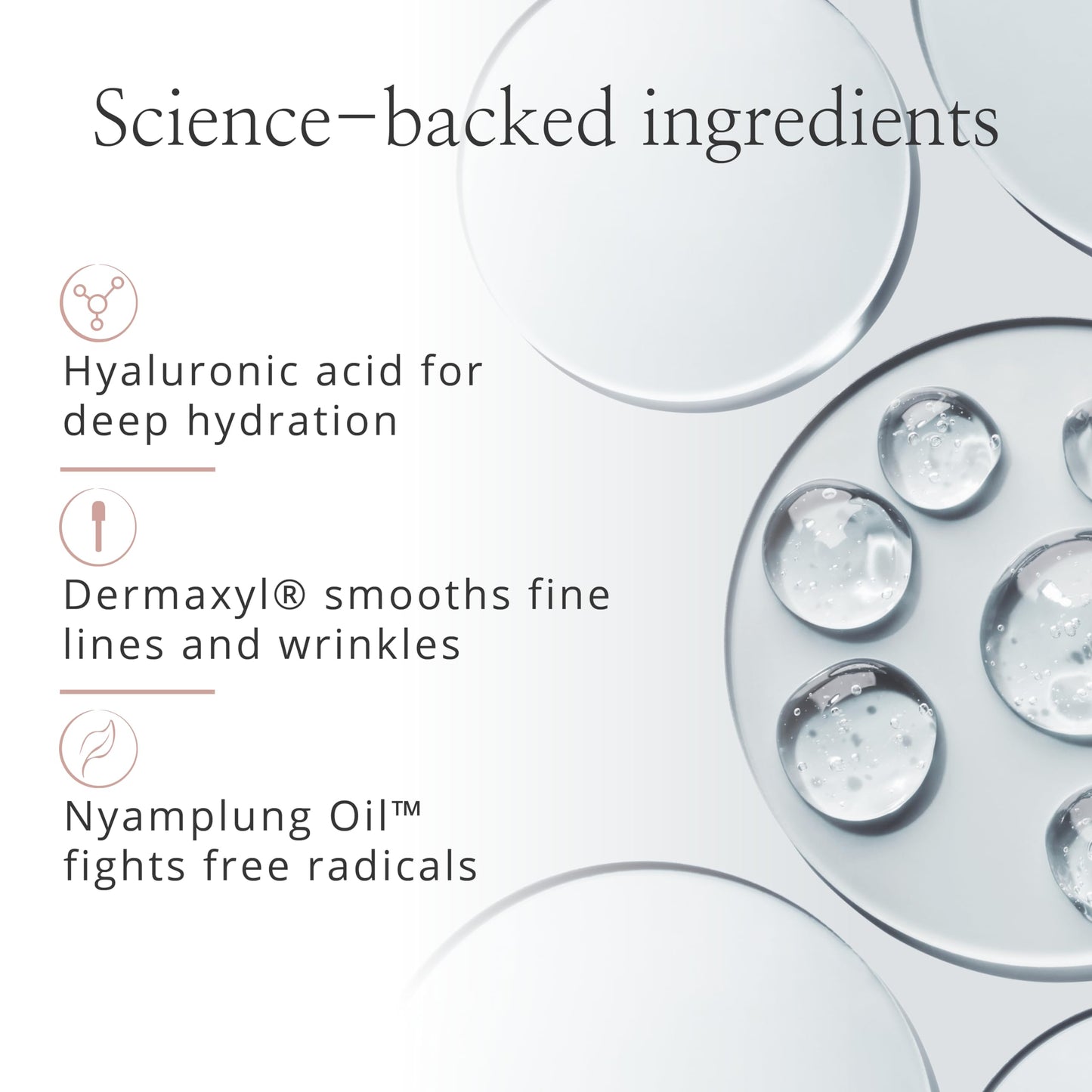 Studio 10 Hydra-Lift Corrector - Brightening Concealer to Refresh Skin - Hydrating Under Eye Concealer & Brightener for Mature Skin - Full Coverage Concealer (Light Shade)
