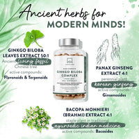Ginkgo Biloba High Strength -7500mg (50:1 Extract) + Bacopa Monnieri, Ginseng and Ginkgo Biloba Herbal Supplements + VIT B6, B1, B2, & Zinc -180 Nootropic Ginkgo Biloba Capsules - Packed w/Flavonoids