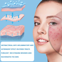 FunnAura 5PCS Micro Infusion Facial System, With Serum Beauty Lips Kit for All Skin Types